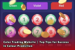 Color Trading Website Top Tips for Success in Colour Prediction